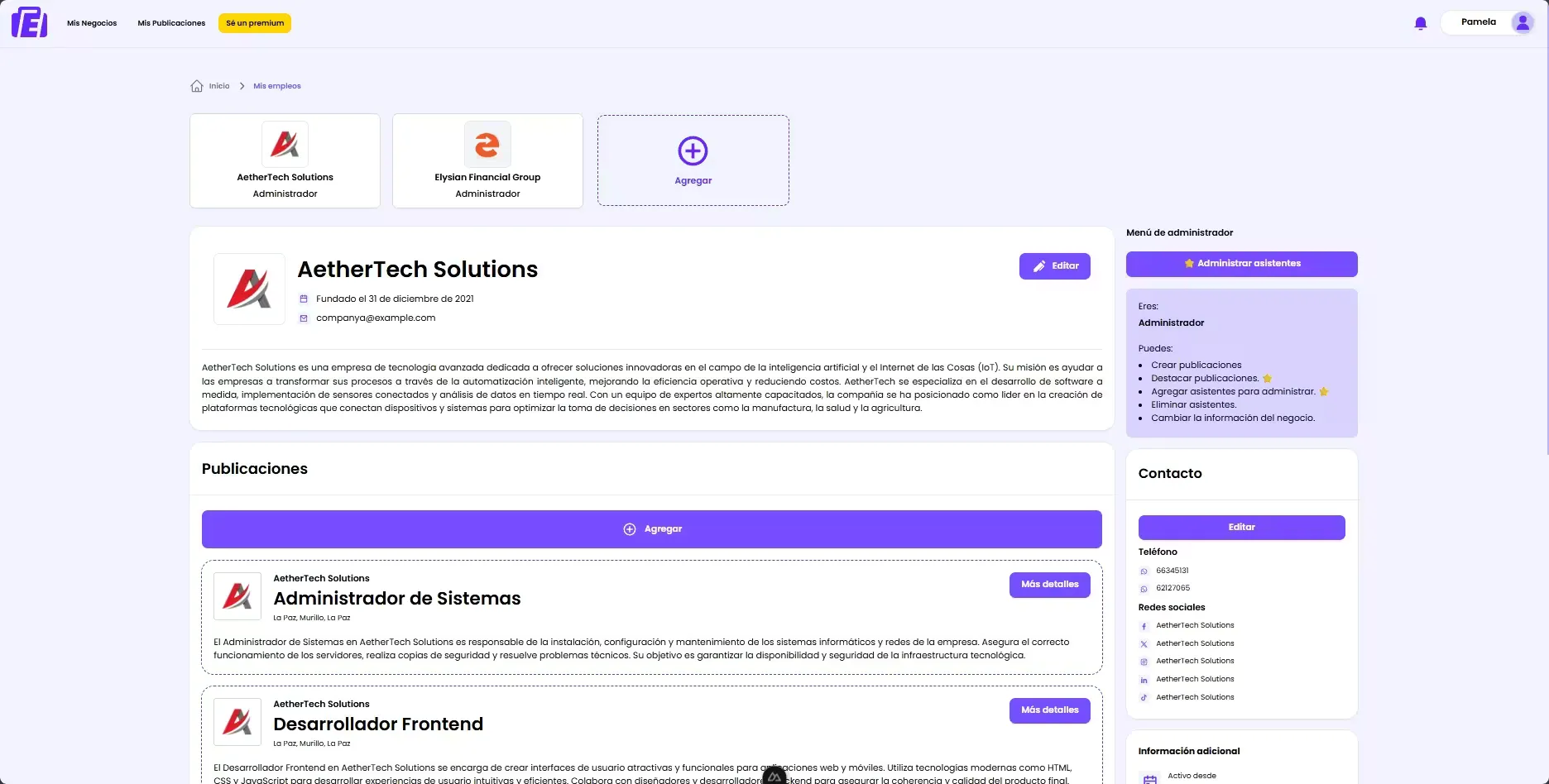 'Mis Negocios' view showing a company's profile